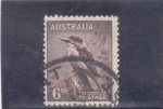 Sellos de Oceania - Australia -  ave-kockaburra