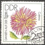 Stamps Germany -  Dahlia 