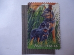 Stamps Australia -  Fauna. Rottweiler.