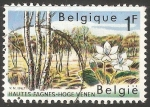 Stamps Belgium -  Hautes Fagnes