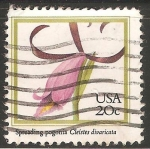 Sellos de America - Estados Unidos -  Orquidea Cleistesiopsis divaricata