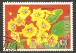 Stamps Equatorial Guinea -  Cordia lutea