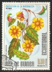 Stamps : Africa : Equatorial_Guinea :  Dentata Hibbertia