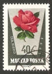 Stamps Hungary -  Tea Hibrid (Rosa)