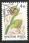 Stamps : Europe : Hungary :  Orquidea