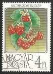 Stamps Hungary -  Frambuesa