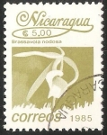 Stamps : America : Nicaragua :  Brassavola nodosa-orquídea dama de noche