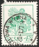 Stamps Poland -  Flores