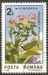 Stamps : Europe : Romania :  Centaurea