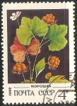 Stamps Russia -  grosella