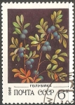 Stamps Russia -  Northern Bilberry-arandano 