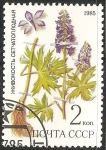 Stamps Russia -  Delphinium dictyocarpum