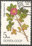 Stamps Russia -  Rosa Acicularis