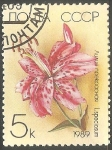 Stamps Russia -  Lilium speciosum