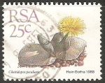 Stamps South Africa -  Cheiridopsis 