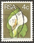 Sellos de Africa - Sudfrica -  Zantedeschia aethiopica-cala