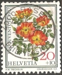 Stamps Switzerland -  Pro juventute
