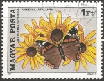 Stamps Hungary -  rudbeckia speciosa y rudbeckia speciosa