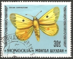 Stamps Mongolia -  Colias chrysoteme