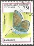 Stamps Benin -  Polymmatus icarus-Azul Común 
