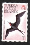 Stamps America - Turks and Caicos Islands -  Pájaros nativos