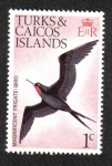 Sellos del Mundo : America : Islas_Turcas_y_Caicos : Pájaros nativos