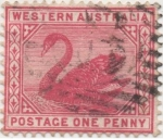 Stamps : Oceania : Australia :  Y & T Nº 43 Western