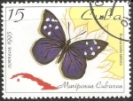 Stamps Cuba -  Eunica tatila 