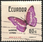 Sellos de America - Ecuador -  Cypris Morpho 