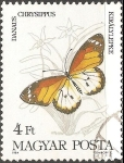 Stamps Hungary -  danaus chrysippus