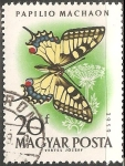 Sellos de Europa - Hungr�a -  Papilio machaon