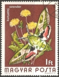 Stamps Hungary -  kutyatejszender