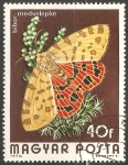 Stamps Hungary -  bibor medved nalepke 