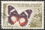 Stamps : Africa : Madagascar :  hypolimnas dexithea