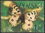 Stamps Poland -  niepylak apollo