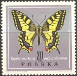 Stamps Poland -  papilio machaon