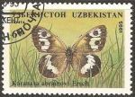 Stamps Asia - Uzbekistan -  karanasa abramovi