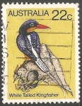 Sellos de Oceania - Australia -  white tailed kingfisher-Martín pescador paraíso