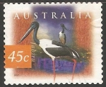 Sellos de Oceania - Australia -  jabiru