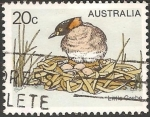 Stamps Australia -  litlle grebe