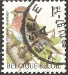 Stamps Belgium -  sizerin flammé barmsijs