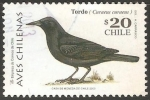 Stamps Chile -  Curaeus curaeus-tordo patagón