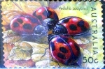 Sellos de Oceania - Australia -  Intercambio 0,80 usd 50 cent. 2003