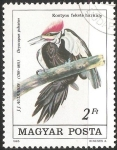 Stamps Hungary -  Dryocopus pileatus-picamaderos