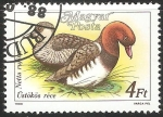 Stamps Hungary -  Netta rufina-pato colorado