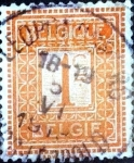 Stamps Belgium -  Intercambio 0,20 usd 1 cent. 1912
