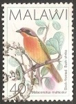 Stamps Malawi -  Malaconotus multicolor