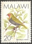 Stamps : Africa : Malawi :  mandingoa nitidula