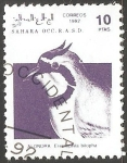 Stamps Spain -  Alondra Sahara 