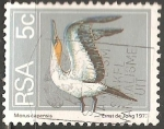 Stamps South Africa -  Morus capensis